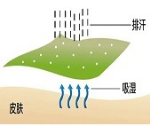 吸湿排汗纤维